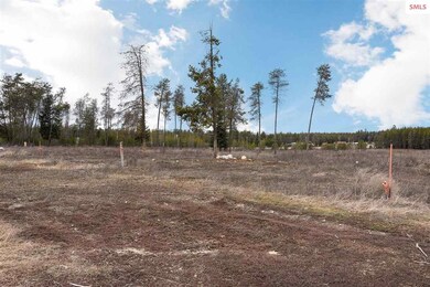 6823 E Trinity Ln, Athol, ID 83801 - photo 2