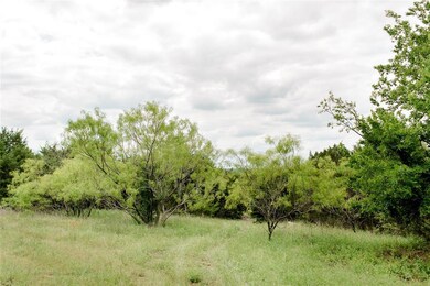 TBD 5 Ox Mill Creek Rd, Weatherford, TX 76087 - photo 3