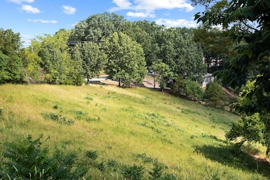 3839 State Highway 265, Branson, MO 65616 - photo 5