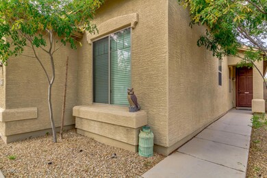 04-Palo Verde