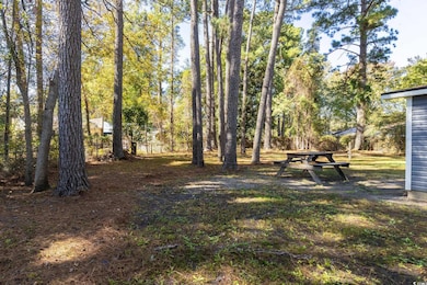 746 Gumbo Limbo Ln, Myrtle Beach, SC 29579 - photo 5
