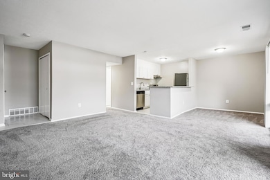 534 Wilson Bridge Dr unit C-1, Oxon Hill, MD 20745 - photo 6