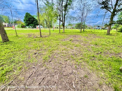 0 Lot B Willow, Lansing, MI 48917 - photo 4