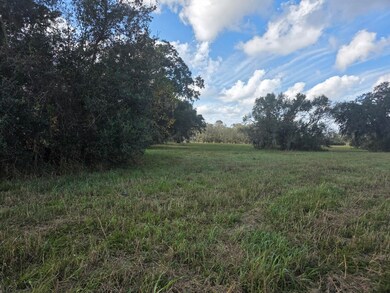 340 Pony Trail, Richwood, TX 77515 - photo 5