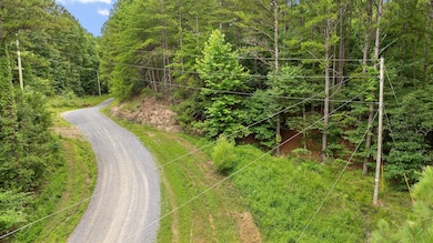 Tract 1 Conniston Rd, Chatsworth, GA 30705 - photo 2