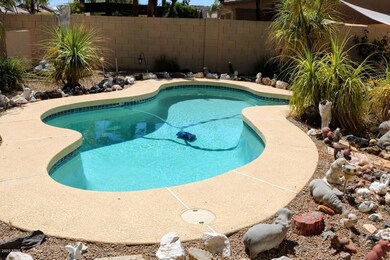 Pool 1