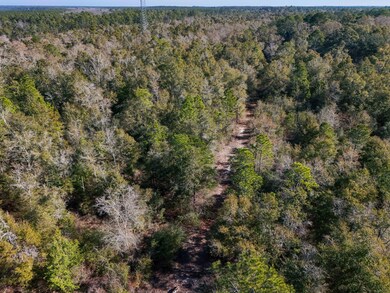 xx-007 State Rd, Bruce, FL 32455 - photo 7