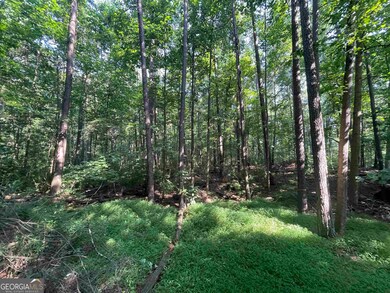 0 High Point Trail SW unit 20135542, Atlanta, GA 30331 - photo 5