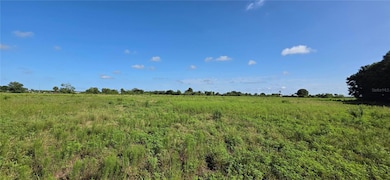 16905 NW 220th St, Okeechobee, FL 34972 - photo 3