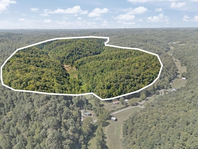 270 Left Fork Holly Rd, Sextons Creek, KY 40983 - photo 2