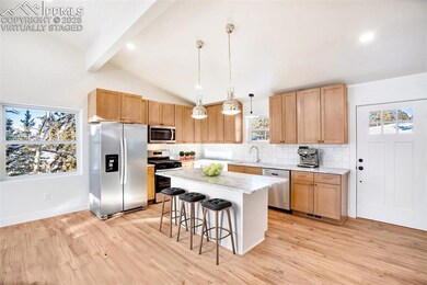 1328 N Mountain Estates Rd, Florissant, CO 80816 - photo 3