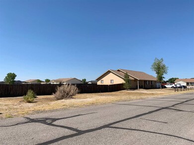 4411 Falcon Dr, Fallon, NV 89406 - photo 2