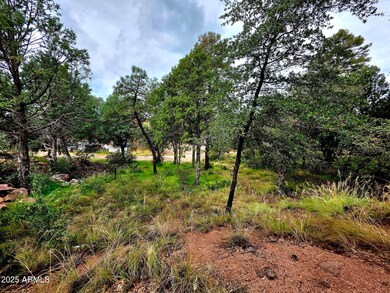 912 N Beeline Hwy unit 88, Payson, AZ 85541 - photo 7