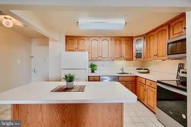 28 Allegheny Ave unit 1901, Towson, MD 21204 - photo 7