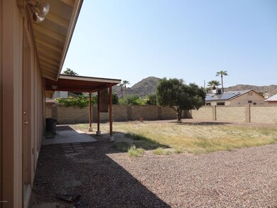 Back yard