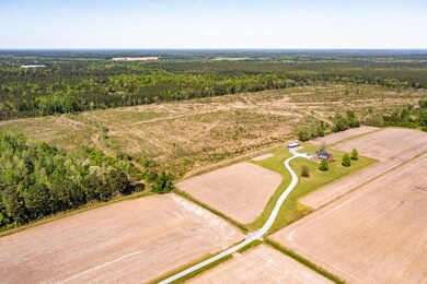 Pb 1/100 U S 117, Burgaw, NC 28425 - photo 2