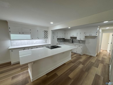 3632 Pearson Cir, Guntersville, AL 35976 - photo 6