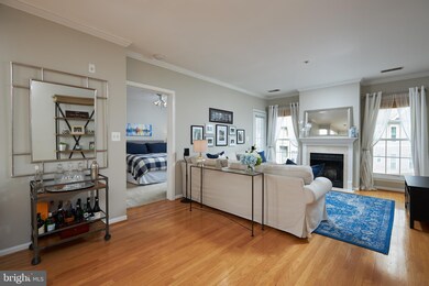 The Pavillion unit 306, Falls Church, VA 22043 - photo 7