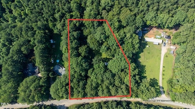 4-web-or-mls-loblolly lines