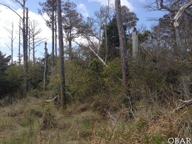 Sound Front View 16+/-ac adjacent to Manns Harbor 