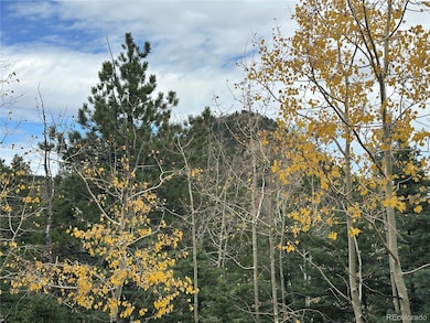 View of Sunrise Peak!