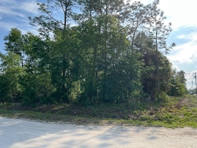 Side view of corner Lot 14 from SW 144 CT
