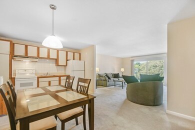 15 Francis St unit 36, Brookline, MA 02446 - photo 3