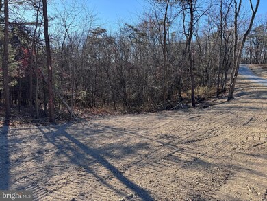 0 Young Ln unit 10, Berkeley Springs, WV 25411 - photo 7