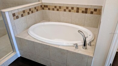 14338 Fissore Blvd, Wimauma, FL 33598 - photo 7