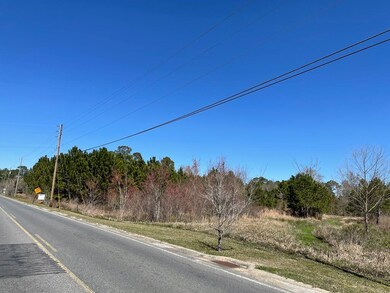 00 Pat Dixon Rd Broxton Hwy & Charles Roger Blvd, Hazlehurst, GA 31539 - photo 7