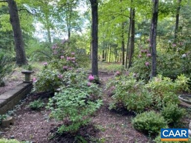 2033 Bobwhite Ct, Charlottesville, VA 22901 - photo 4