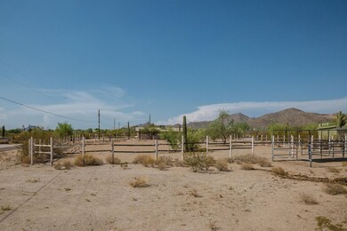 IMG_9801
