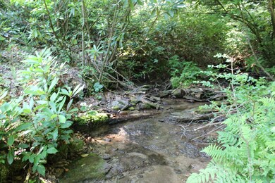 14 Long Branch Rd unit 14, Pisgah Forest, NC 28768 - photo 7