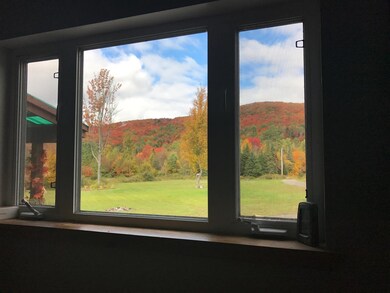 158 I P Rd, Morgan, VT 05853 - photo 3