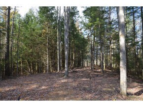 0 Small Farm unit 4665170, Morristown, VT 05661 - photo 2