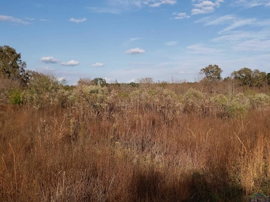 TBD Cr 122 E, Nacogdoches, TX 75695 - photo 7