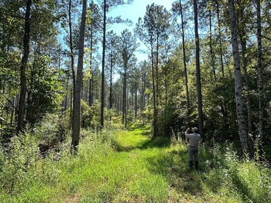 Bethlehem Rd, Equality, AL 36026 - photo 7