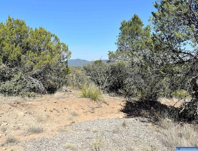 Lot 12 Hereford Dr, Silver City, NM 88061 - photo 6