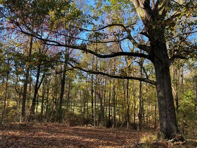 2415 Fm 698, Nacogdoches, TX 75964 - photo 4