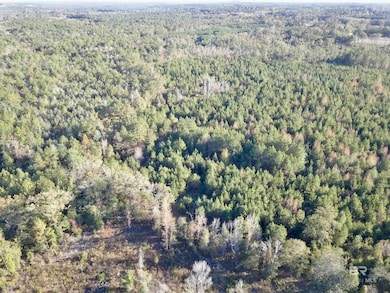 72510 State Highway 59, Little River, AL 36550 - photo 3