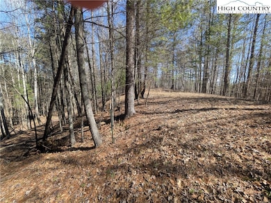 Green Pole, white top that marks the beginning of property