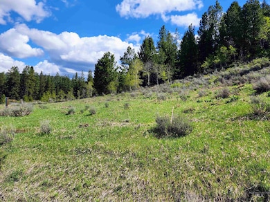 TBD Lantern Way, Cascade, ID 83657 - photo 4