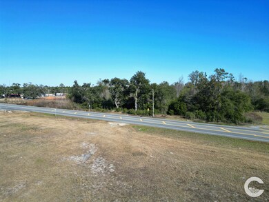 0 S Hwy 71 unit 18813202, Marianna, FL 32448 - photo 4