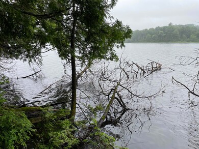 Lot # 4 Kolm Ln, Garland, ME 04939 - photo 4