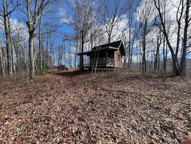 000 Wedgewood Cove Rd, Sylva, NC 28779 - photo 4