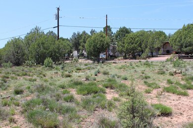 Lot 102 S Palomino Place unit 102, Payson, AZ 85541 - photo 4