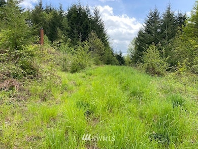 0 Buckhorn Rd unit 1935246, Winlock, WA 98596 - photo 6