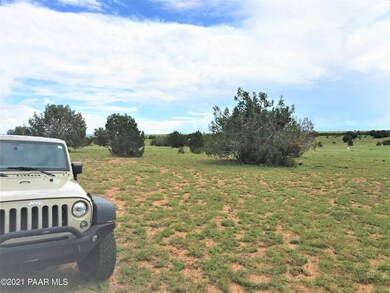 111 Gleed Station Rd, Ash Fork, AZ 86320 - photo 2