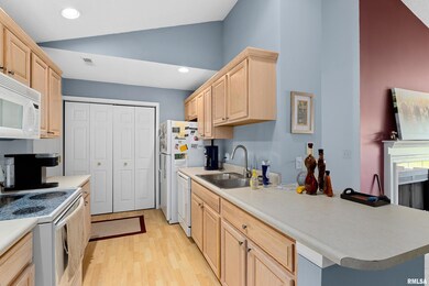 4555 N Thornhill Dr unit 206, Peoria, IL 61615 - photo 6