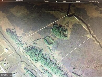 0 Toddville Rd unit 1000100665, Toddville, MD 21672 - photo 3